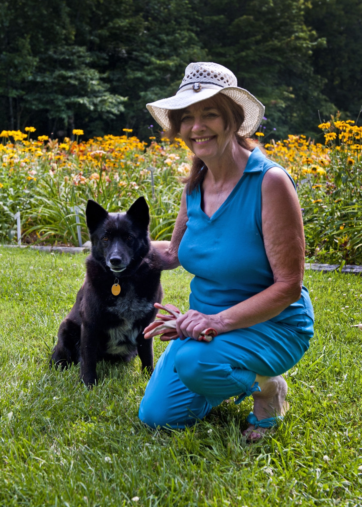 Davis Boxwood & Daylily Nursery
